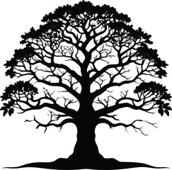 Obraz premium Majestic ancient oak tree with sprawling branches and detailed foliage in a striking black silhouette isolated on transparent background