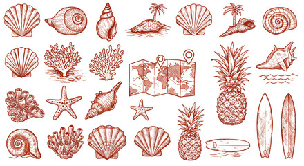 Vintage nautical and tropical vector illustration with seashells, pineapples, surfboards, and world map for print design