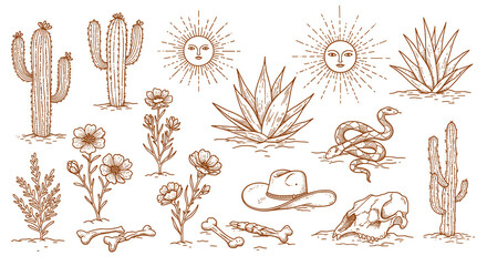 Western desert elements vector illustration with cacti, sun, and snake for design and print © Ophelia