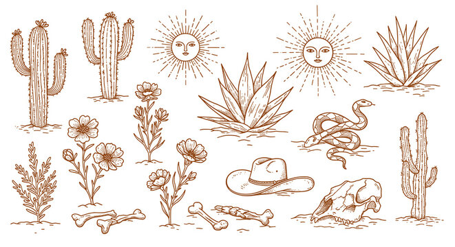 Western desert elements vector illustration with cacti, sun, and snake for design and print