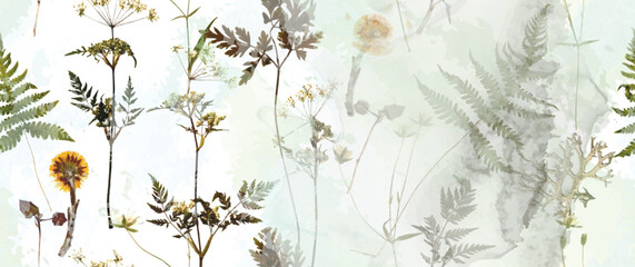 Fern__Back-02_07.eps © Сашка Шаргаева