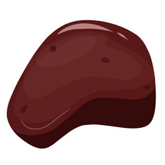 Beef liver illustration,vector beef cut