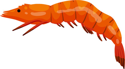 Shrimp Sea Animal Illustration
