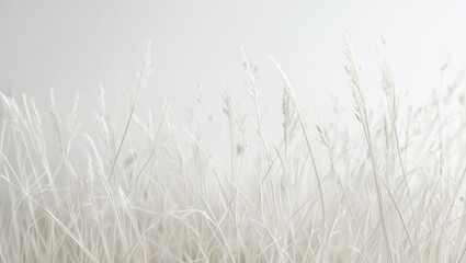Fototapeta premium Frosty grass field in monochrome.
