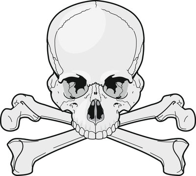 pirate symbol skull with crossbones isolated on white background