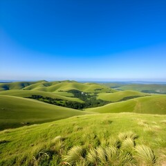 Fototapeta premium Rolling green hills under a clear blue sky, creating a serene and expansive landscape view.