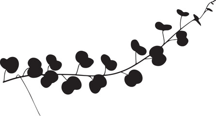 Elegant Black and White Silhouette of a Climbing Plant with Rounded Leaves
