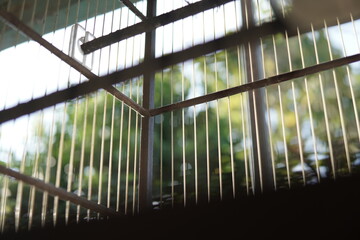 Close-up of a metallic cage with a blurred background.