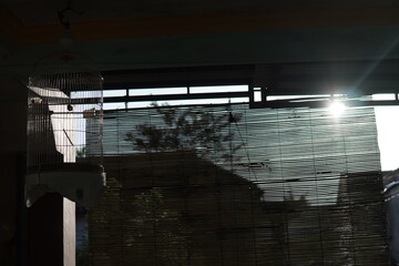 Sunlit View Through Blinds with Bird Cage Silhouette