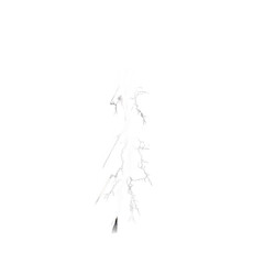 Fototapeta premium Abstract white, textured, branching structure