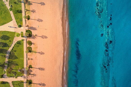 Long shadows of palm trees stretching across sandy beach in early morning sunlight, next to turquoise sea and green park, aerial view - Powered by Adobe