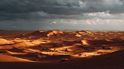 Naklejka premium Golden Desert Dunes Under Dramatic Sky