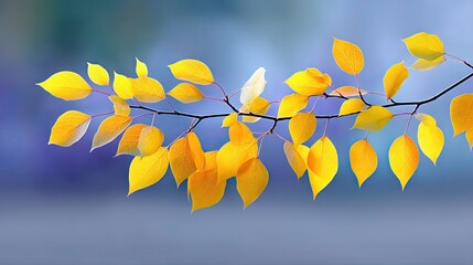 Bright Yellow Birch Leaves Glowing in Twilight