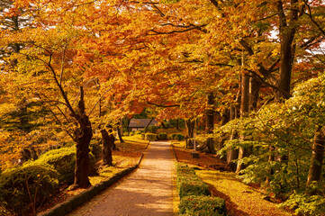Naklejka premium 秋田の千秋公園、秋景色