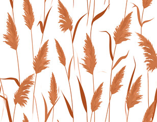 Dried plants with brown stalks and leaves on black background