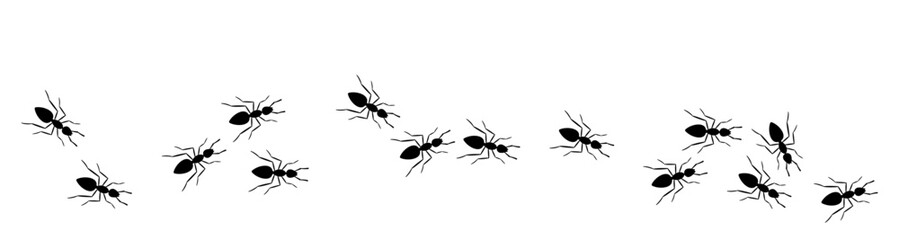 Black silhouette trail of ants marching in random directions. Insect line vector illustration for biology, nature education, pest control, or design elements.
