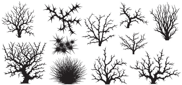 Black silhouette of a thorny bush with spiky branches and dry grass set  isolated on white background. vector illustration