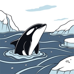 whale in the sea