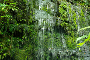 Serene Green Waterfall in Lush Forest