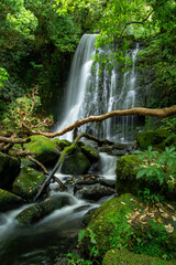 Tranquil Waterfall in Lush Greenery