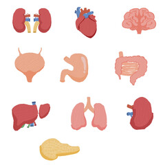 Human Internal Organs Set 