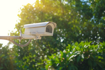 CCTV security camera on green tree background. Security camera in garden.