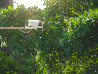 CCTV security camera on green tree background. Security camera in garden.