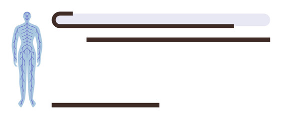 Human anatomy diagram highlighting the nervous system with abstract linear elements. Ideal for biology, healthcare, anatomy, education, neurology, scientific research, infographics. Simple flat