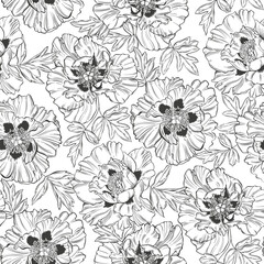 Seamless pattern with hand drawn peony flowers and leaves on white background. Vector illustration. Contour drawing. Perfect for design templates, wallpaper, wrapping, fabric, print and textile. 