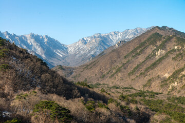 mountain view in winter