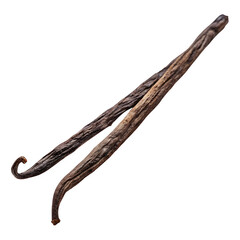 Two dried madagascar bourbon vanilla beans with textured brown pods isolated on transparent background