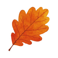 Vector watercolor illustration / 水彩テイストの紅葉イラスト