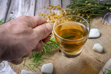 Close-up of a man’s hand holding a glass cup of horsetail tea over rustic wood and herbs. Natural...