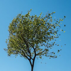 Minimalist green tree art blowing in wind high resolution picture