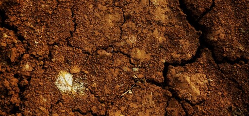 long background, This texture highlights the impact of climate change on land and ecosystems.