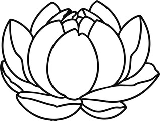 lotus flower vector illustration