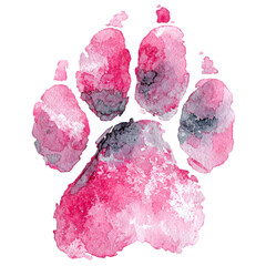 Artistic watercolor pink and gray dog paw print isolated on transparent background