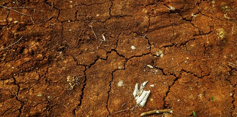 long background, This texture highlights the impact of climate change on land and ecosystems.