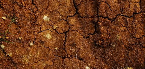 long background, This texture highlights the impact of climate change on land and ecosystems.