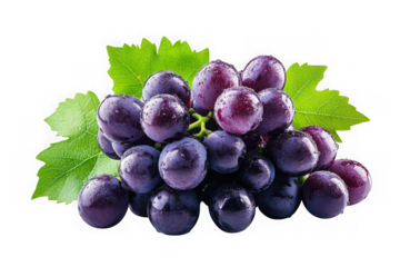 Fresh purple grapes bunch with green leaves still life photography fruit food healthy eating isolated on transparent background