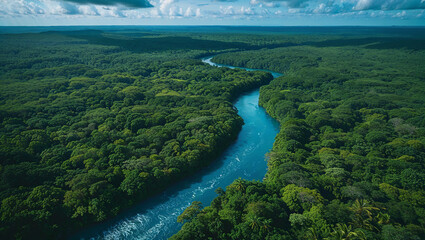 Majestic river winding through lush green forest