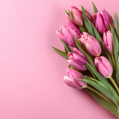 Fototapeta premium bouquet of pink tulips