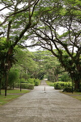 path in the park