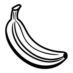 vector illustration of banana