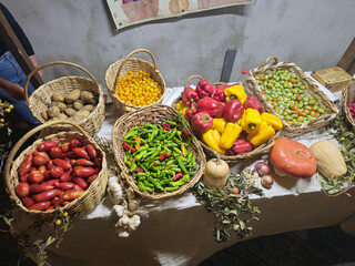 Fresh Vegetable Market Stand