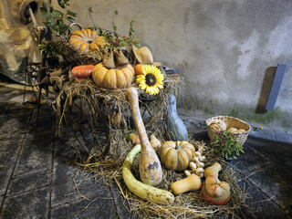 Autumn Harvest Display