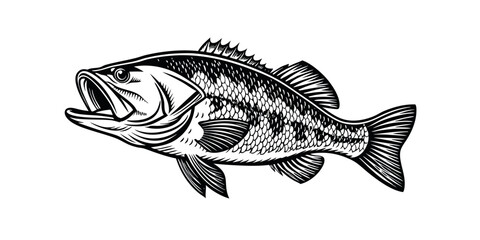 Largemouth Bass Fish Illustration Vintage Style Black and White Graphic