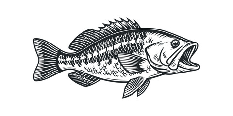 Largemouth Bass Fish Vintage Illustration Detailed Engraved Style
