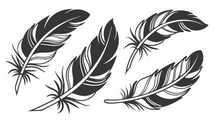 Obraz premium Collection of Elegant Black and White Feather Illustrations Perfect for Design Projects