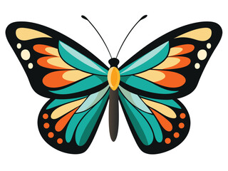 Vibrant Teal and Orange Butterfly Illustration, Nature Insect Design